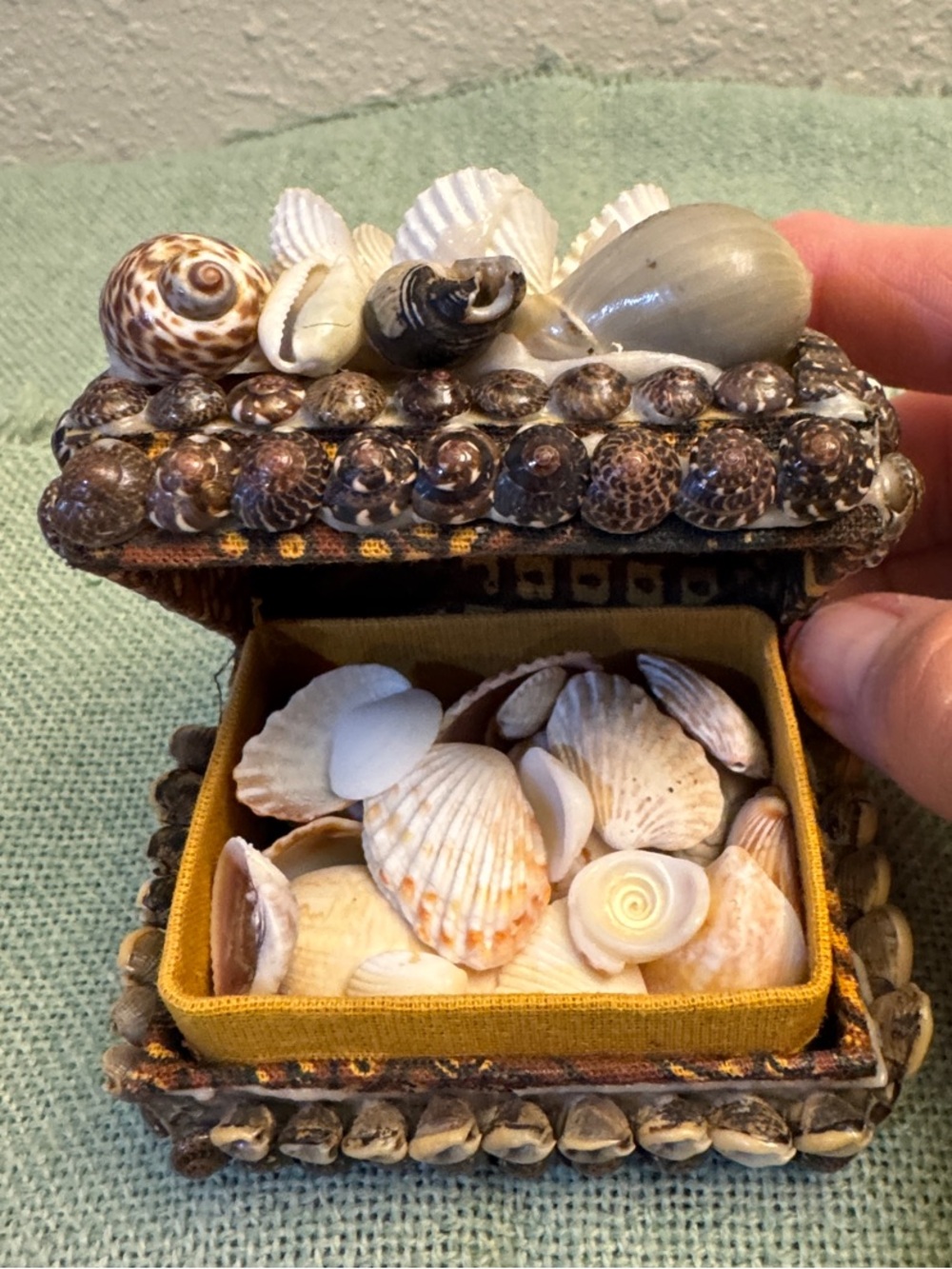 Seashell Treasure Chest with Seashells
